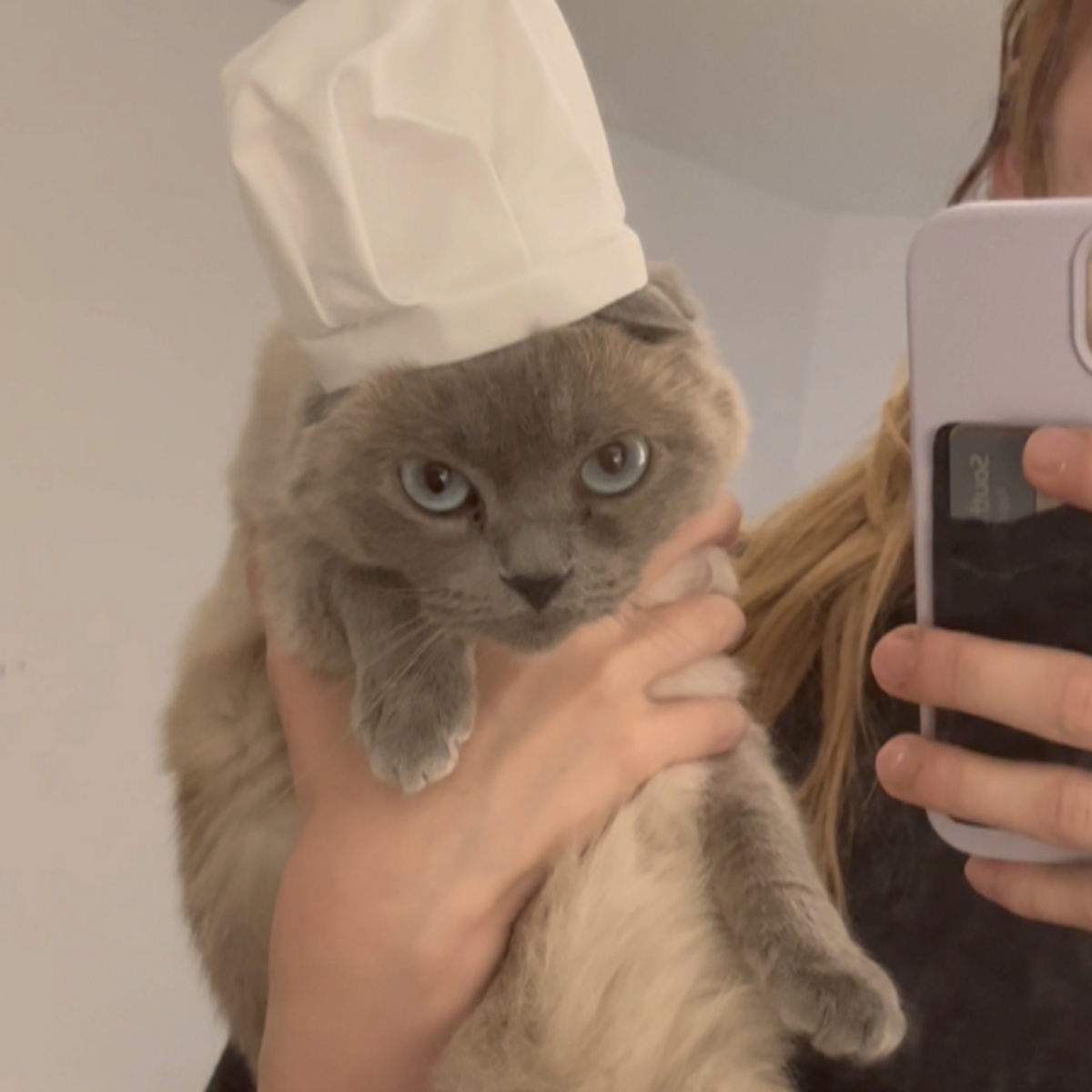 The hat is official. The expression suggests tonight's special is beyond discussion.