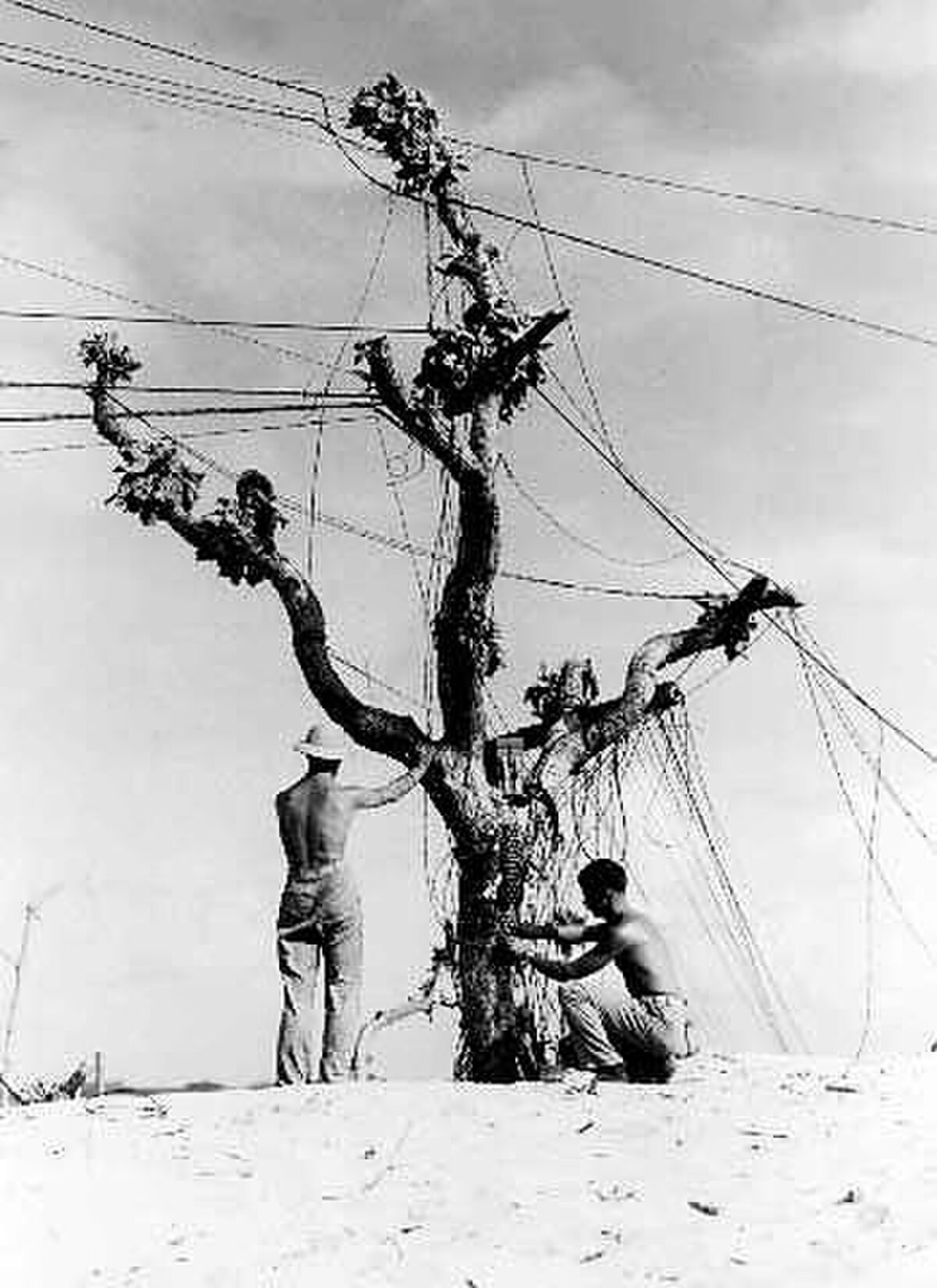 Infrastructure engineers scale the network manually and appear calm about the topology.