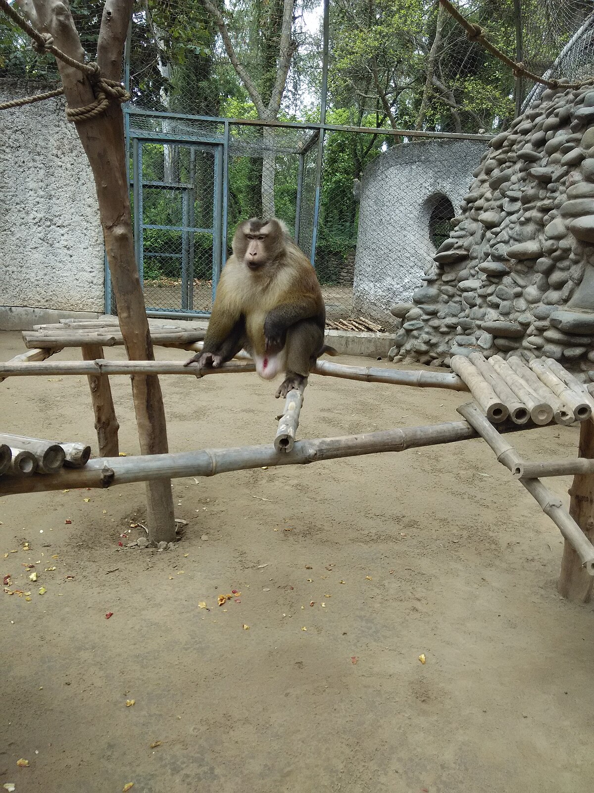 A routine furniture inspection revealed several humans behaving without supervision.