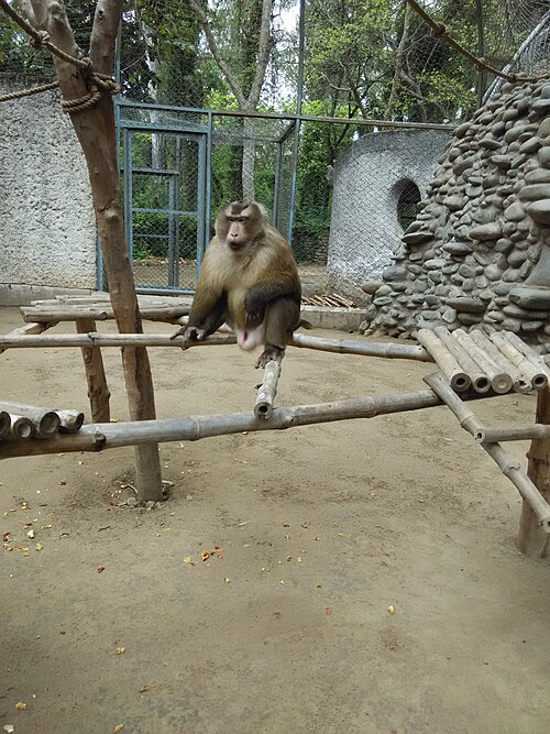 A routine furniture inspection revealed several humans behaving without supervision.