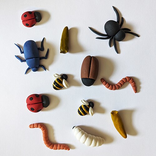 The pastry department shipped a complete insect collection and insists every wing is edible.